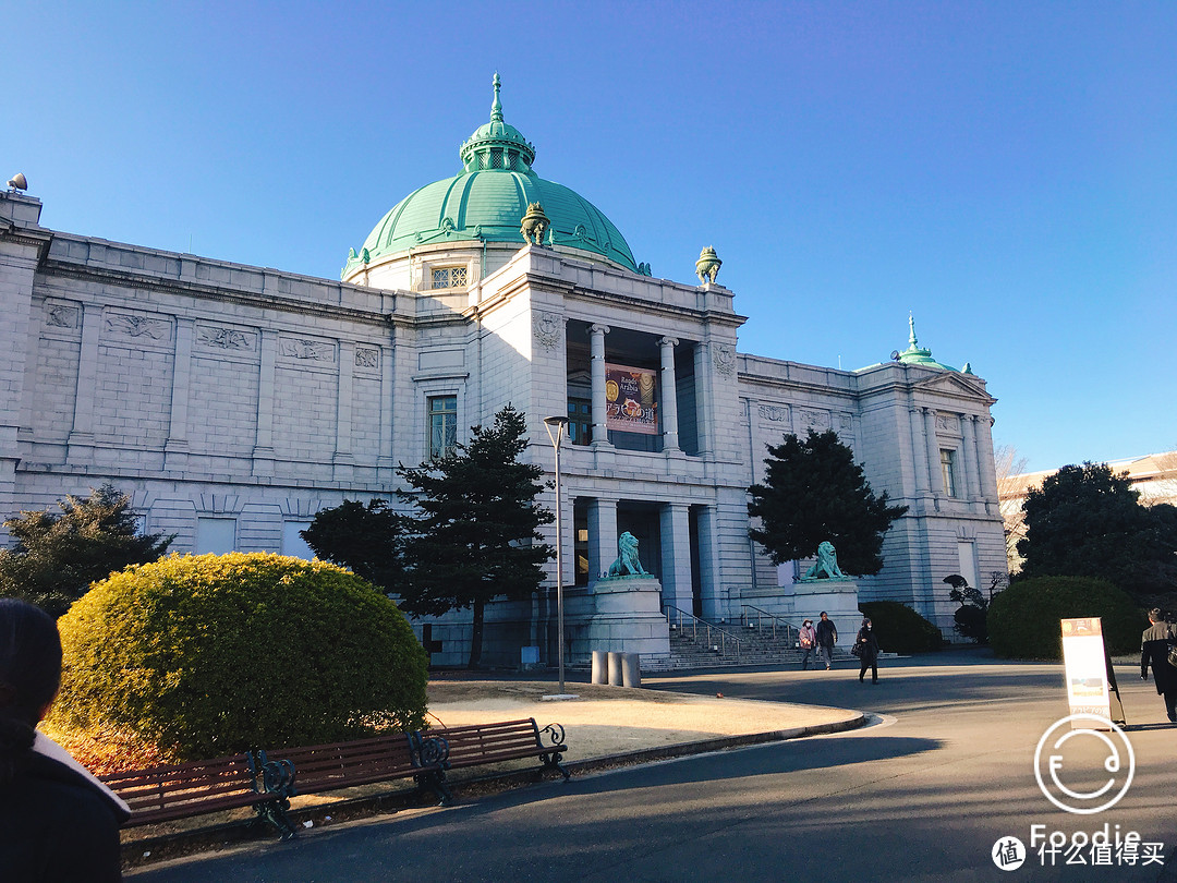 雪国绝景温泉行：远离春节人潮的静谧度假之旅