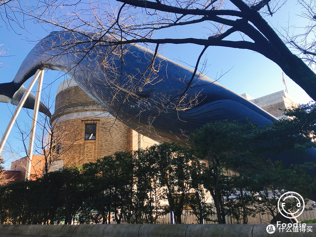 雪国绝景温泉行：远离春节人潮的静谧度假之旅