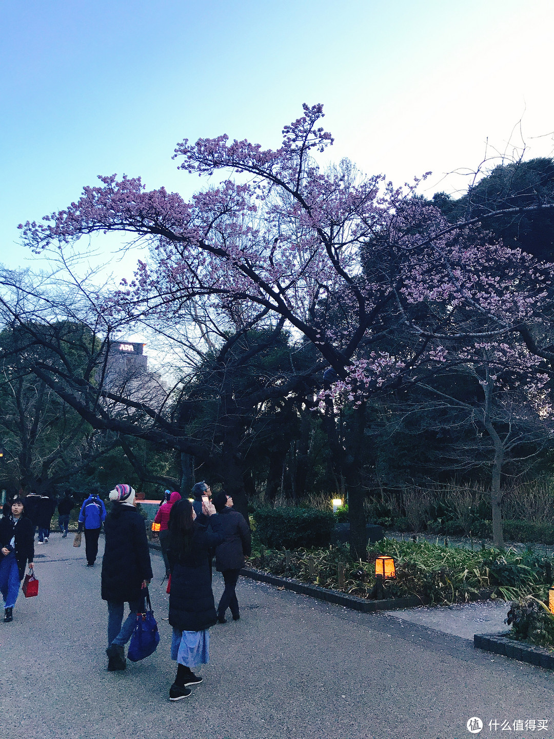 雪国绝景温泉行：远离春节人潮的静谧度假之旅