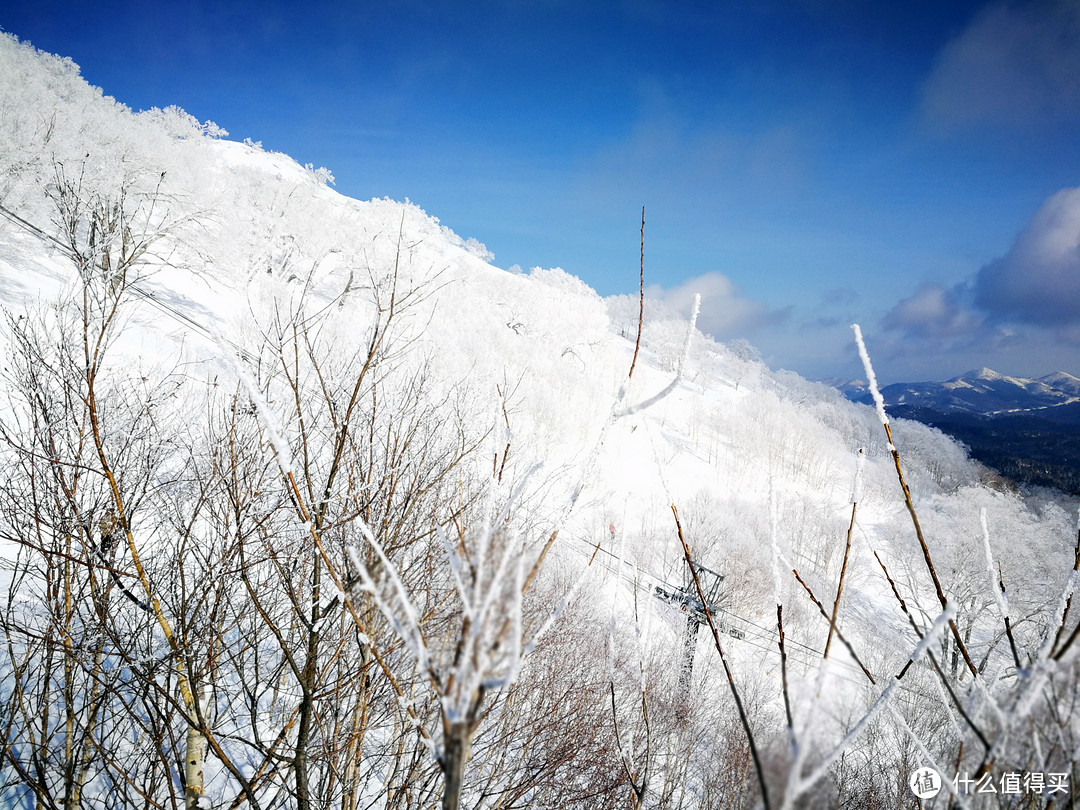 #原创新人#冬季的气息—北海道冰雪王国之旅（星野、小樽、札幌）