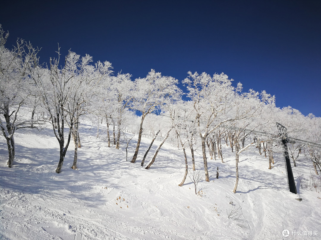 #原创新人#冬季的气息—北海道冰雪王国之旅（星野、小樽、札幌）