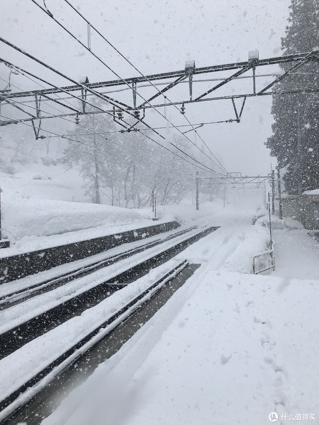 雪国绝景温泉行：远离春节人潮的静谧度假之旅