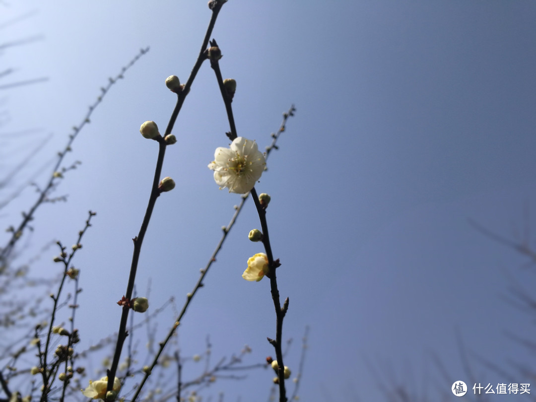 领克01除夕新年乌镇杭州自驾及2000公里体验小结