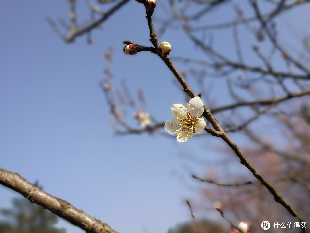 领克01除夕新年乌镇杭州自驾及2000公里体验小结