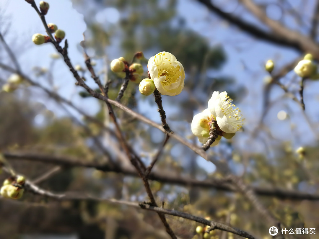 领克01除夕新年乌镇杭州自驾及2000公里体验小结