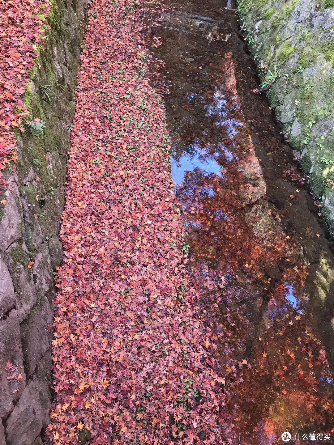 富士山下清水寺旁花见小路