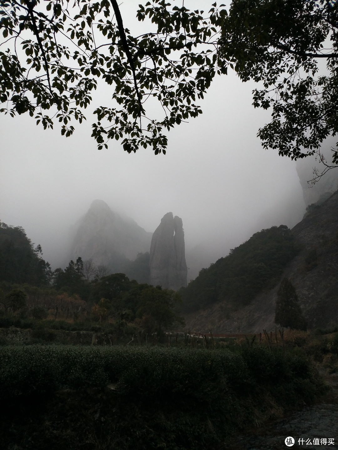 人生第一座爬的山应该是雁荡山