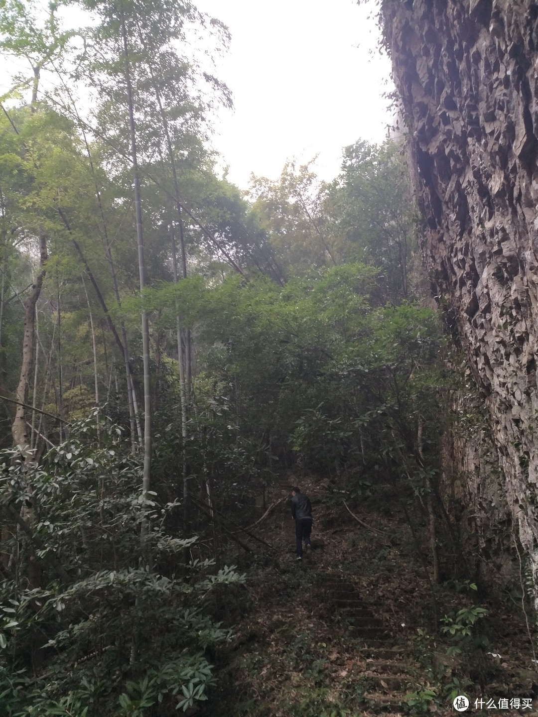 人生第一座爬的山应该是雁荡山