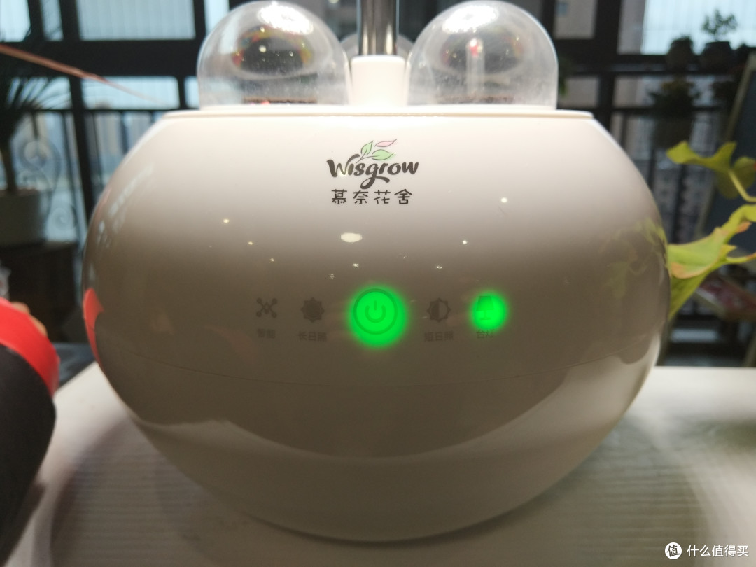 懒人养花神奇---慕奈花舍三生石智能养花机