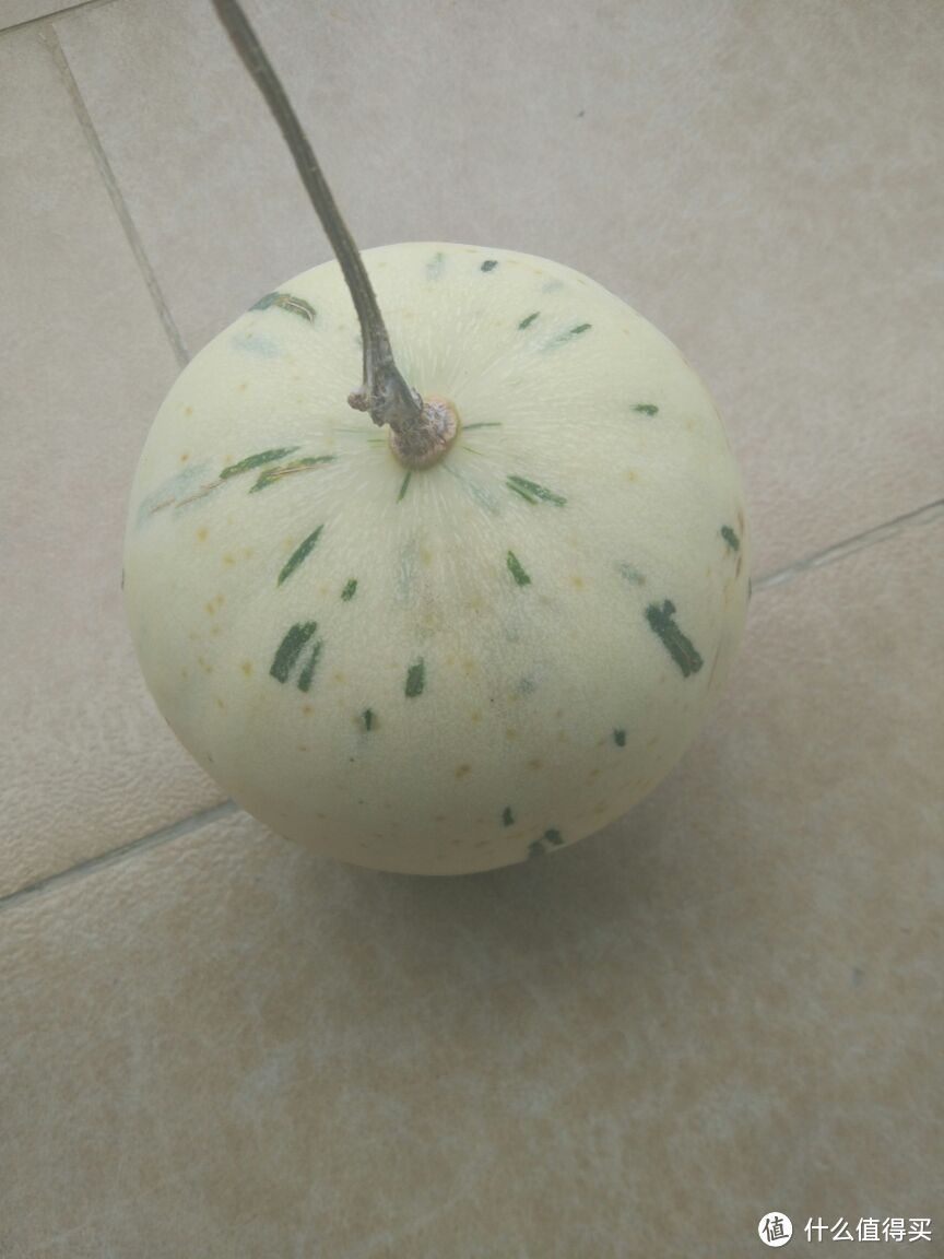 月朗星稀露华浓—尝鲜来自日本的蜜瓜“月露Melon”