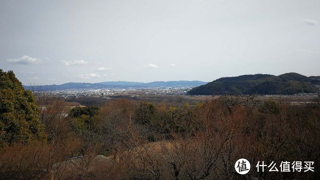 山庄二楼咖啡室远眺