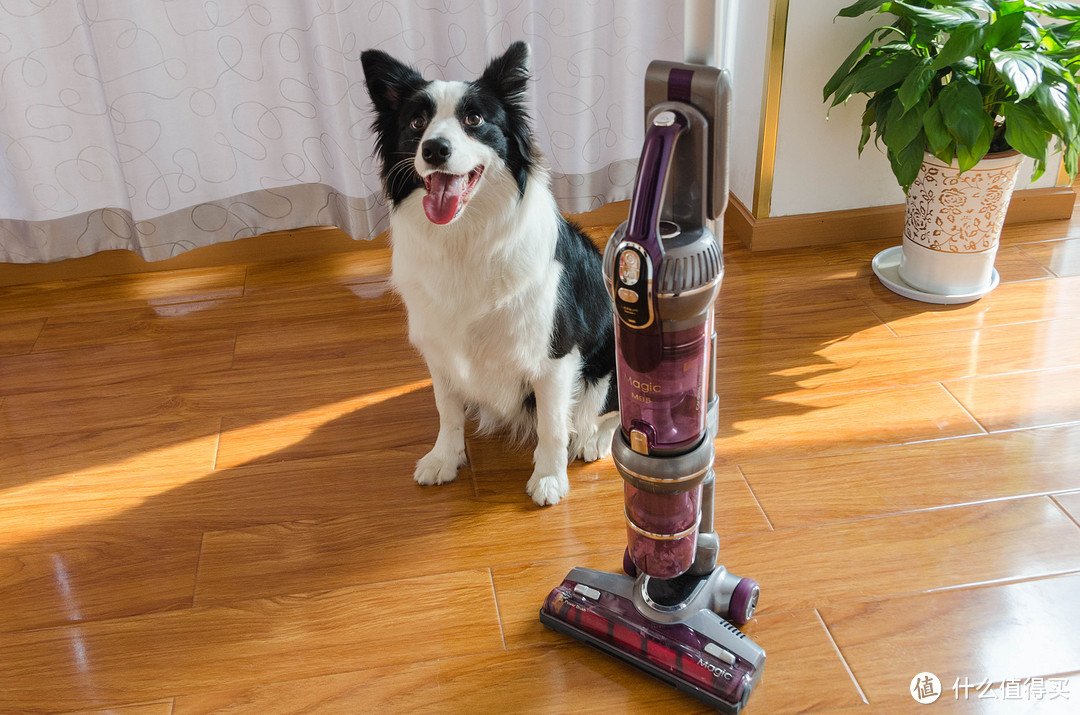 宠物家庭的清洁利器：两年莱克老用户，看莱克M10R的新升级