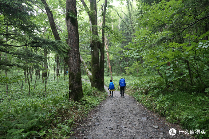 17年夏初游日本 雨雾相伴十天 富士山 高山 长野地区 日光 篇三 绿意 上高地 木曾 户隐 日光 国外自由行 什么值得买