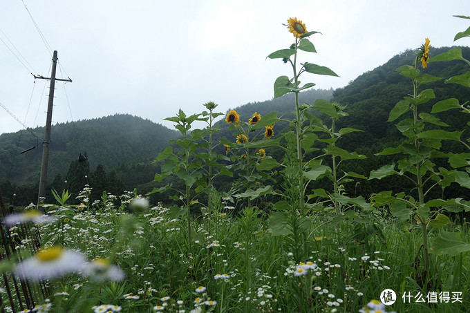 17年夏初游日本 雨雾相伴十天 富士山 高山 长野地区 日光 篇三 绿意 上高地 木曾 户隐 日光 国外自由行 什么值得买