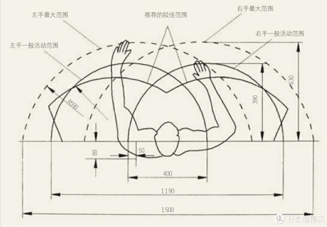 双手活动范围