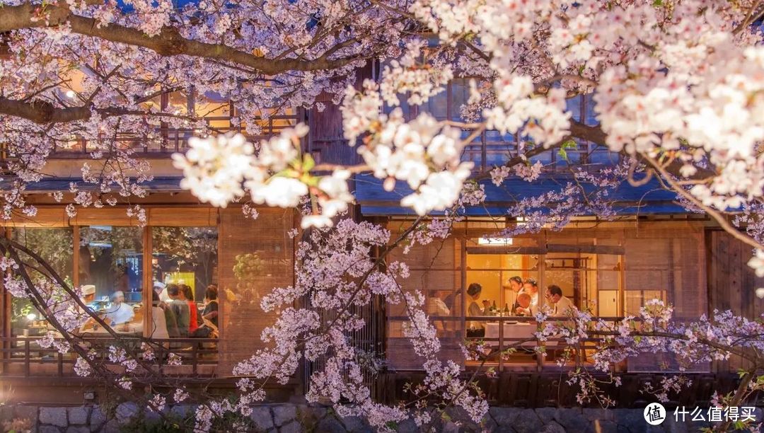 2018日本赏樱攻略，现在准备房价并不贵