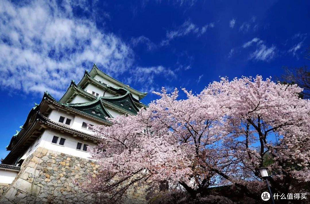 2018日本赏樱攻略，现在准备房价并不贵