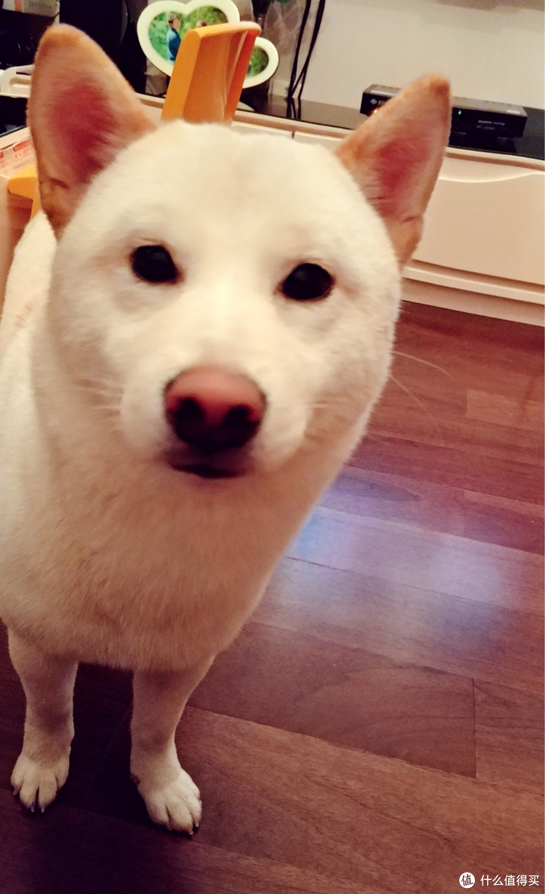 你好像不爱我了 你好像不爱我了