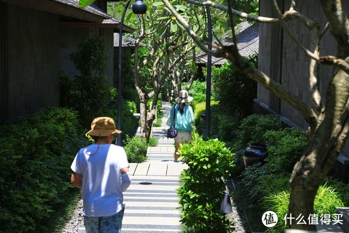 【巴厘岛游记】全球最适合拍照的酒店，拔草之旅