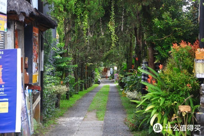 【巴厘岛游记】全球最适合拍照的酒店，拔草之旅