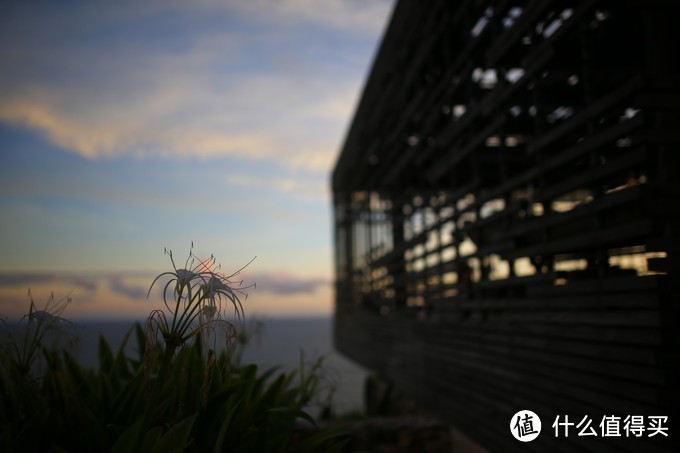 【巴厘岛游记】全球最适合拍照的酒店，拔草之旅