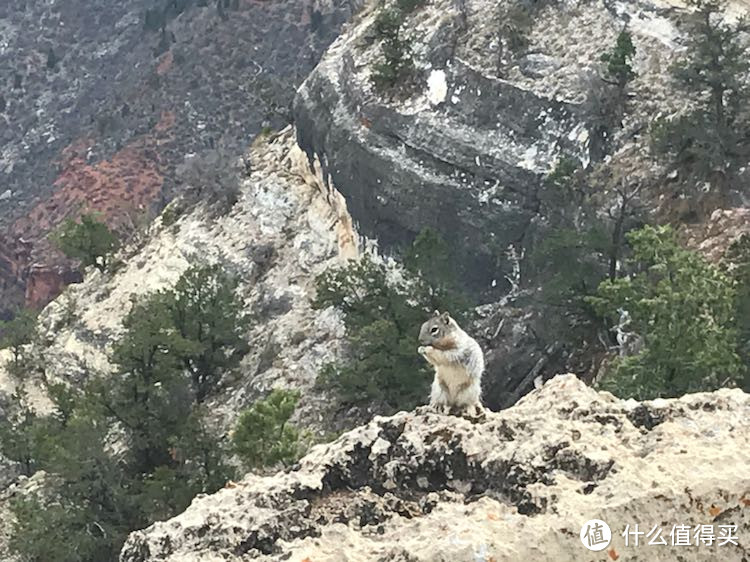 我的美西7天之旅