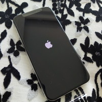 苹果 iPhone X 手机使用总结(Apply Pay|面容支付|操作)