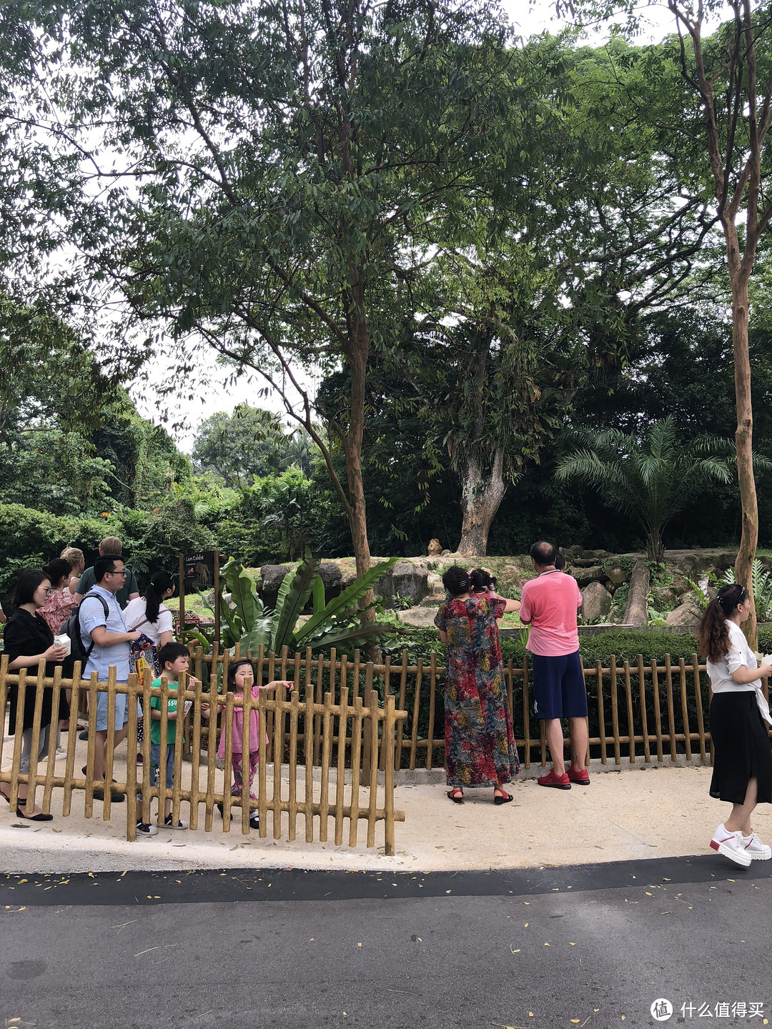 DAY3新加坡动物园