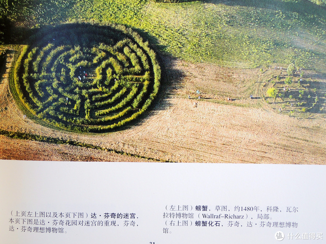 #女神节礼物#剁主计划-上海#物有所值的《文艺复兴三杰》精装画册