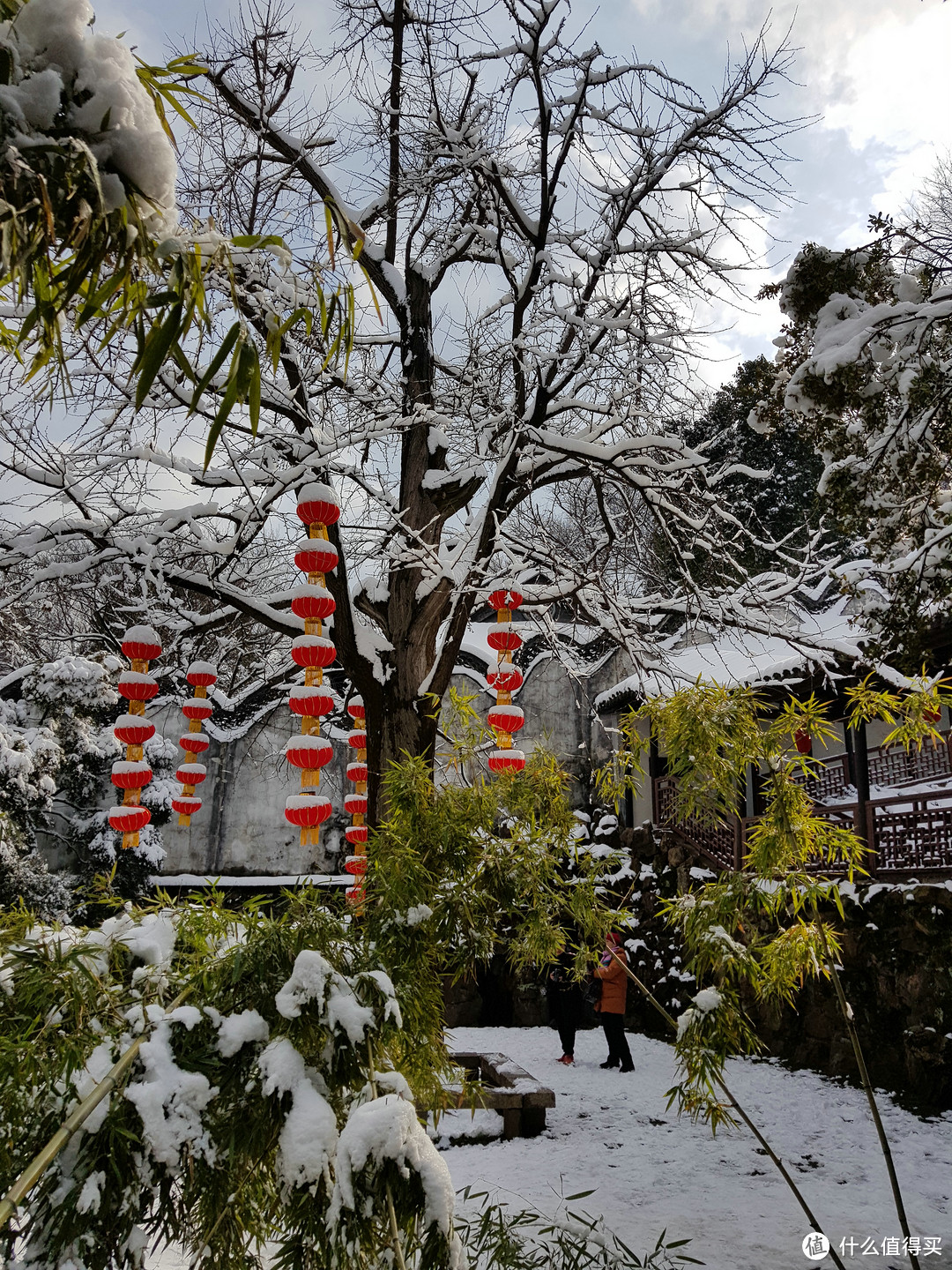 2018惠山的雪与鼋头渚的樱花