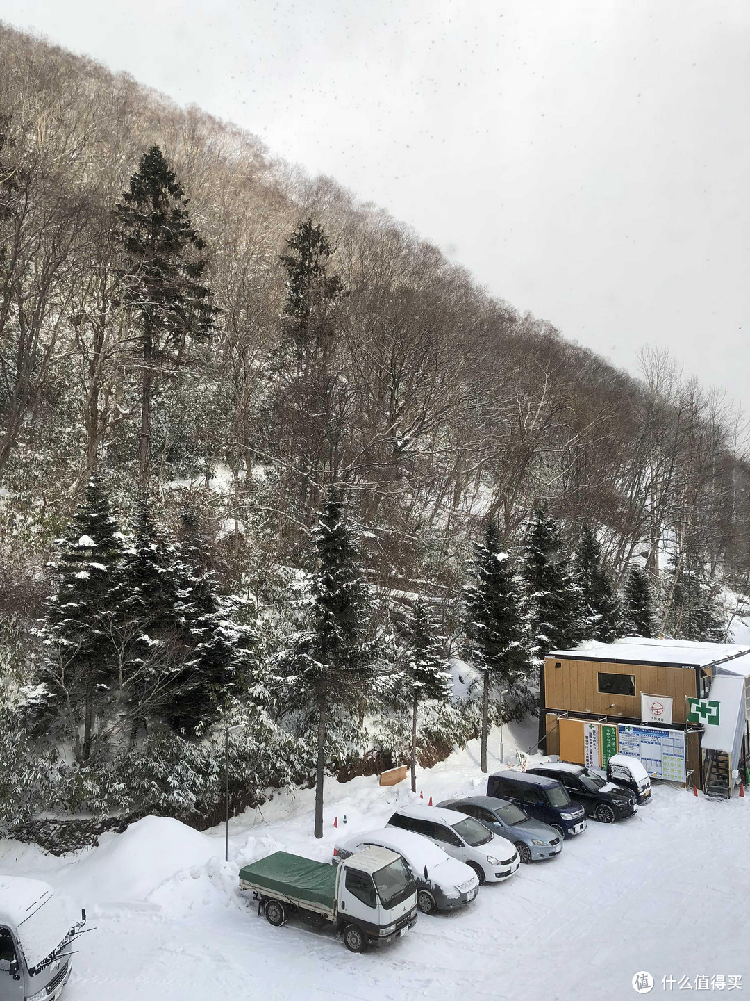 春节旅行：北海道10日自由行