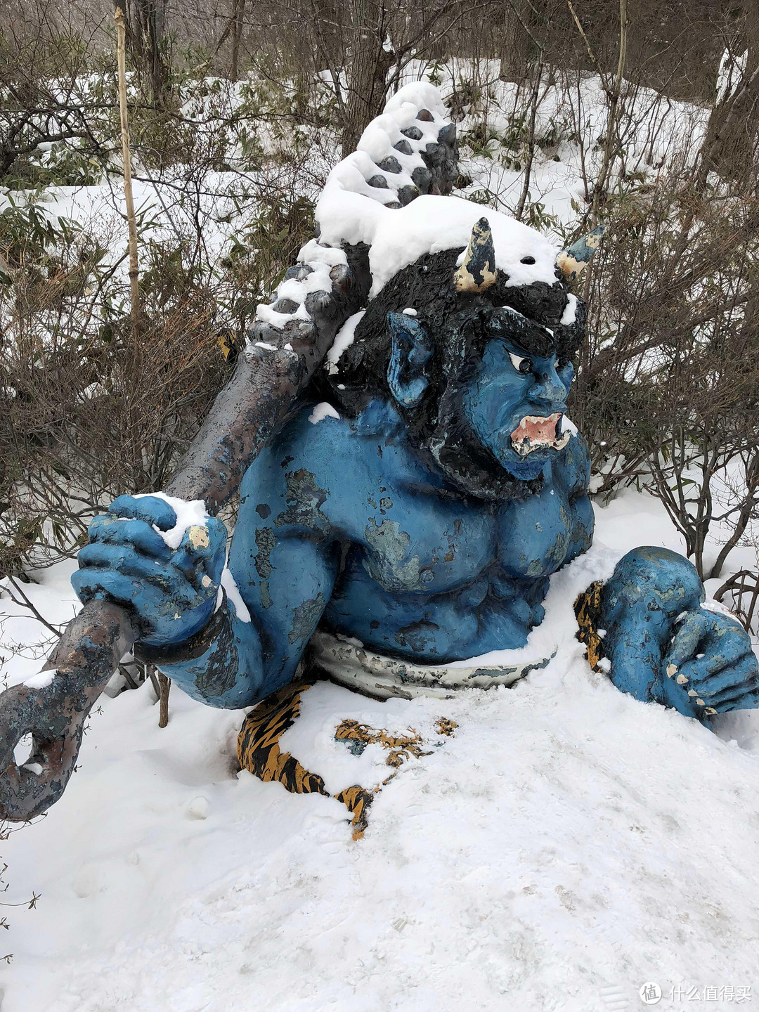 春节旅行：北海道10日自由行