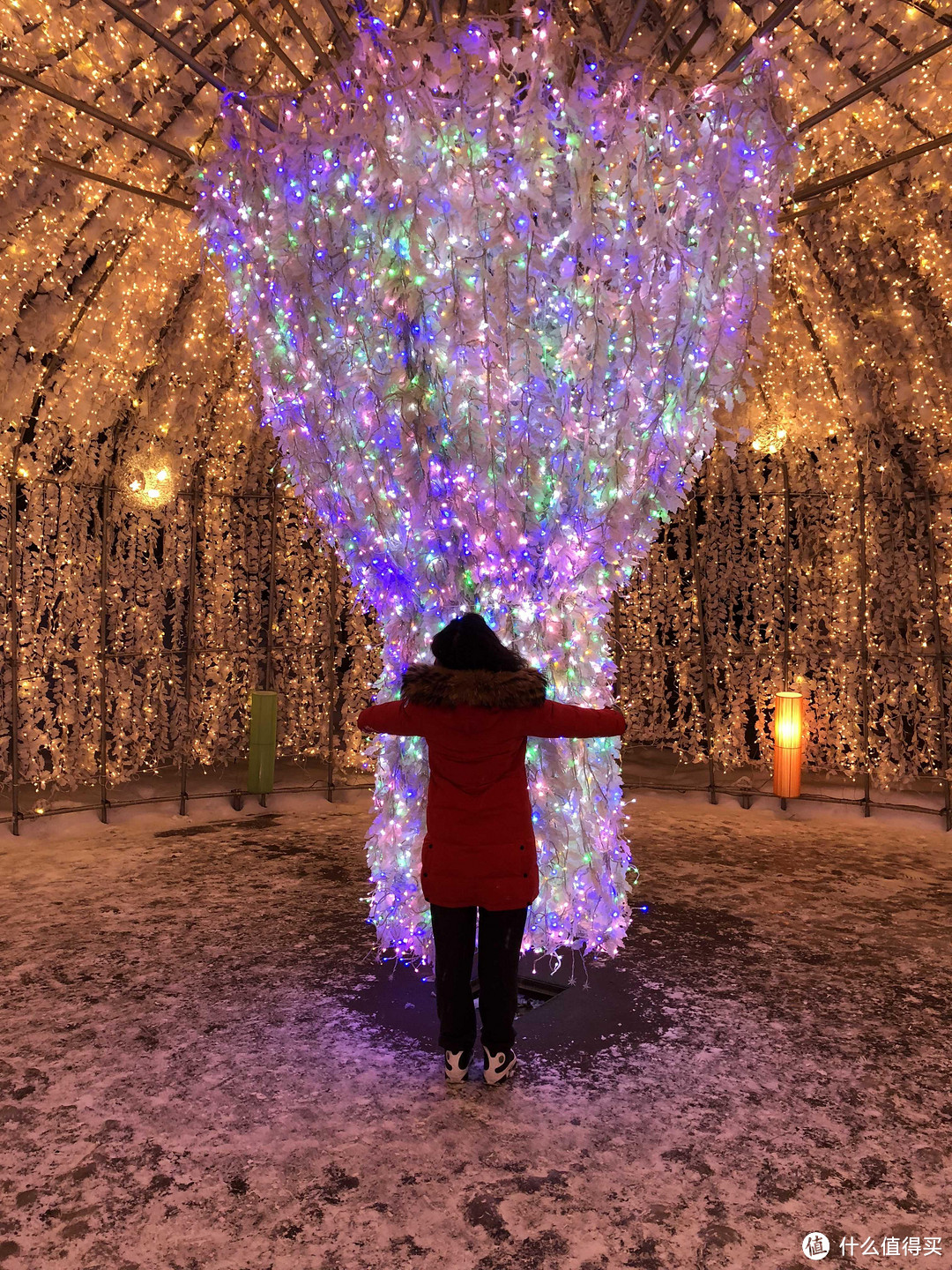 春节旅行：北海道10日自由行