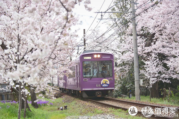 身未动心已远，你想来一场说走就走的旅行吗？