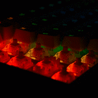 高斯 ALT 61 RGB 蓝牙机械键盘使用总结(灯效|缺点)
