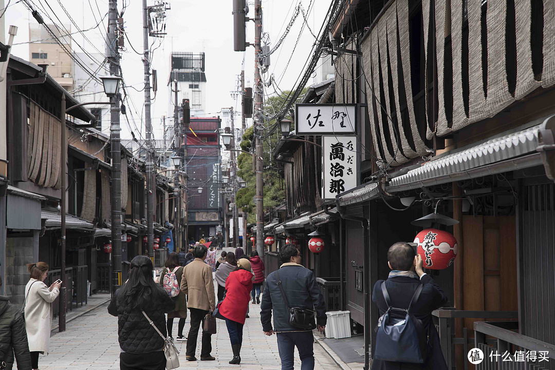 走马观花日本行，跟团六日也能玩转本州