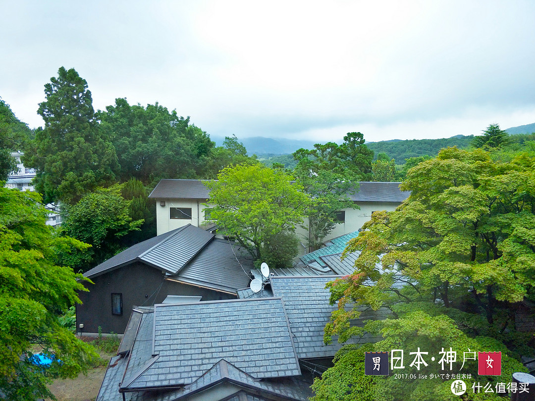 在神户温泉微醺，在大阪居酒屋迷失，在京都一步千年：日本游记