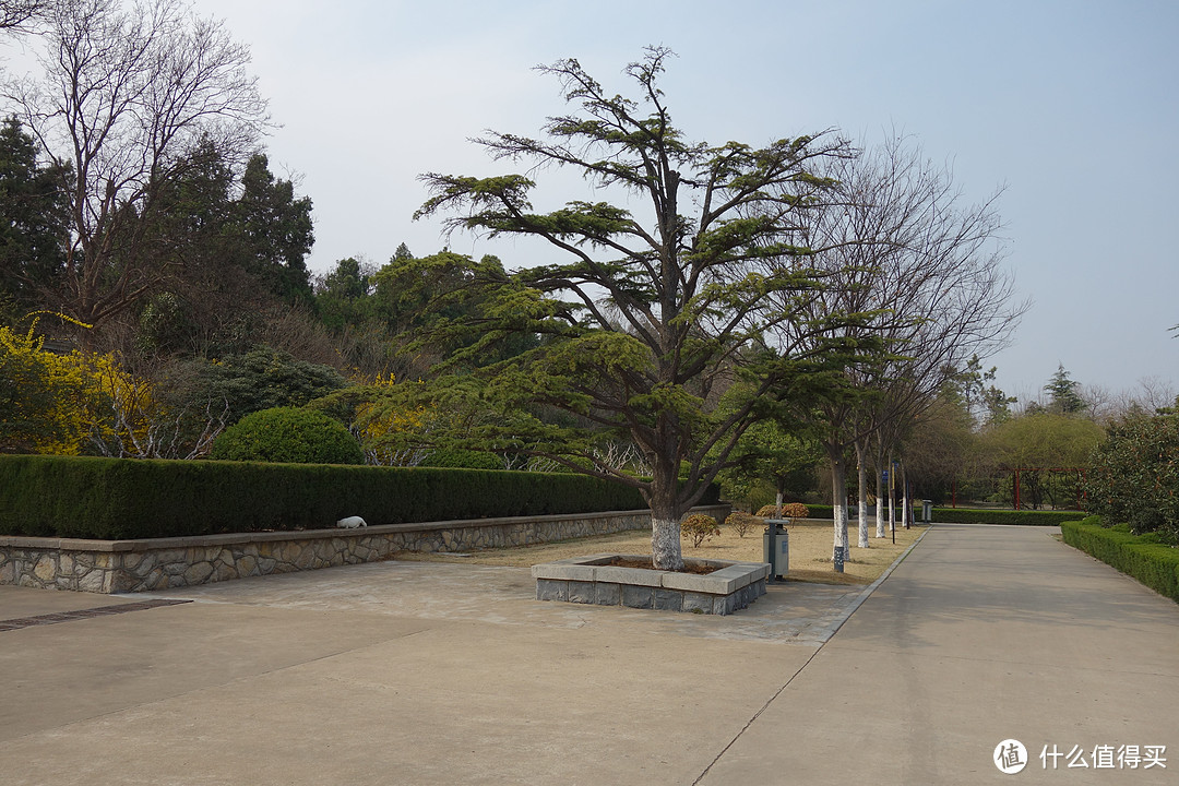 #剁主计划-西安#十里春风溢花香，纵览山河拜英雄：徐州小游记