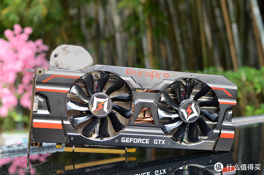 箱养仓鼠？这就有点...非常过分！GAINWARD 耕升 GTX1080Ti 追风版 显卡