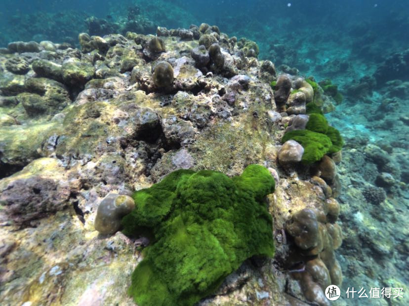 【出游记】安达曼海26°C的风—再探泰南海岛