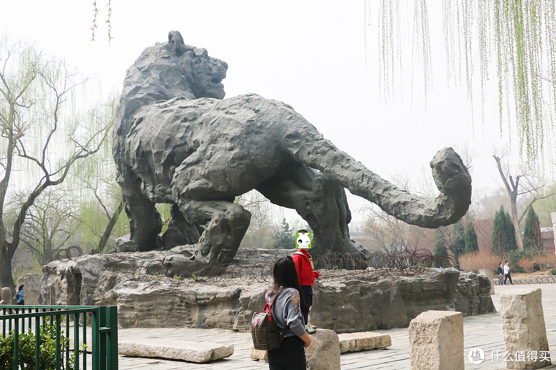 故地重游：2018年 北京动物园 半日游记