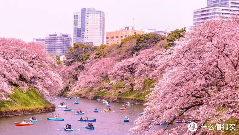 解密 | 这个神器可以让你做旅行攻略事半功倍