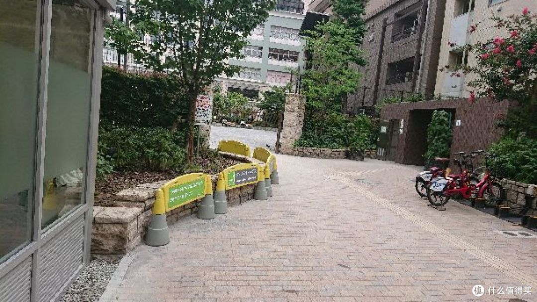 #原创新人#这一切都是命运石之门的选择!记日本东京秋叶原一日游