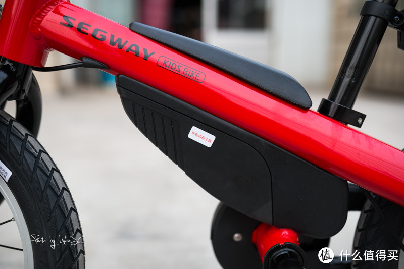 #剁主计划-无锡#给女儿的礼物，写在有纪念意义的一天：Segway 赛格威 Kids Bike 14寸童车