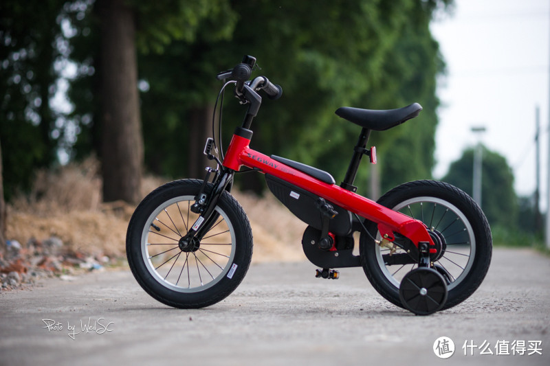 #剁主计划-无锡#给女儿的礼物，写在有纪念意义的一天：Segway 赛格威 Kids Bike 14寸童车