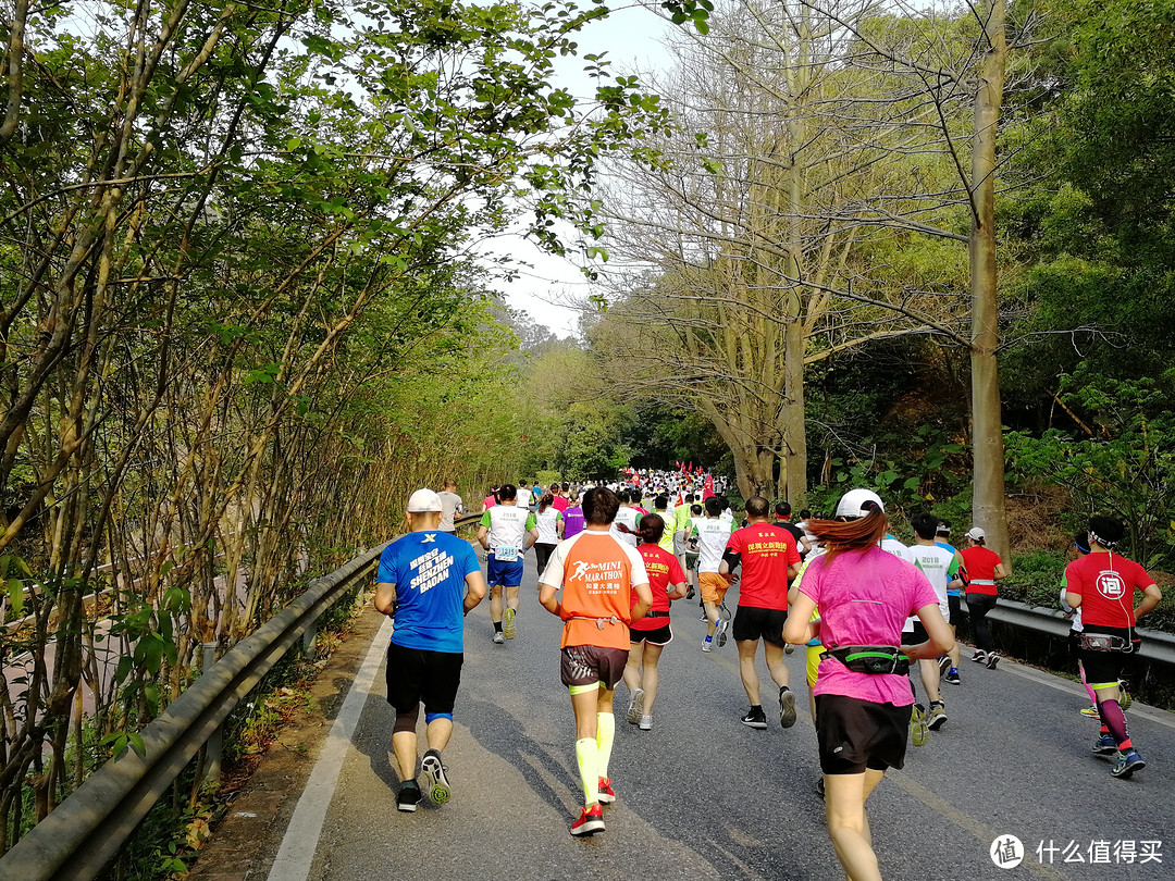 4月1日，我可能跑了个假的马拉松—东莞森林马拉松赛记