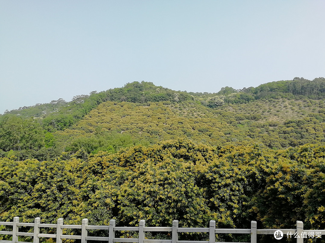 4月1日，我可能跑了个假的马拉松—东莞森林马拉松赛记