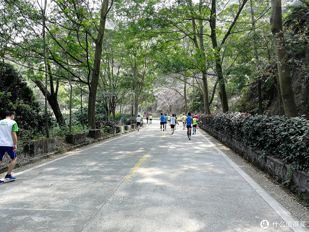 4月1日，我可能跑了个假的马拉松—东莞森林马拉松赛记