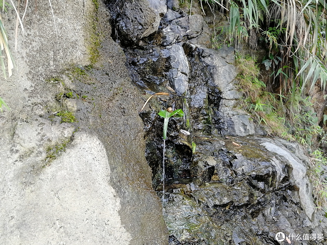 4月1日，我可能跑了个假的马拉松—东莞森林马拉松赛记