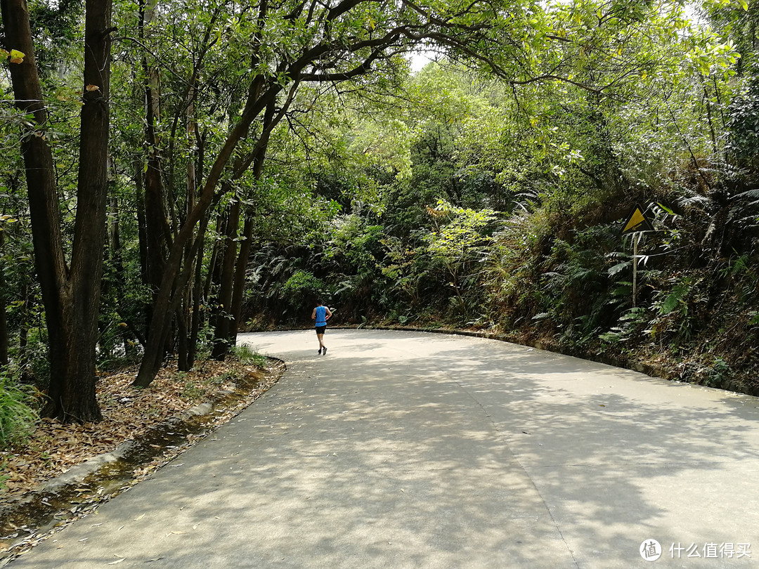 4月1日，我可能跑了个假的马拉松—东莞森林马拉松赛记